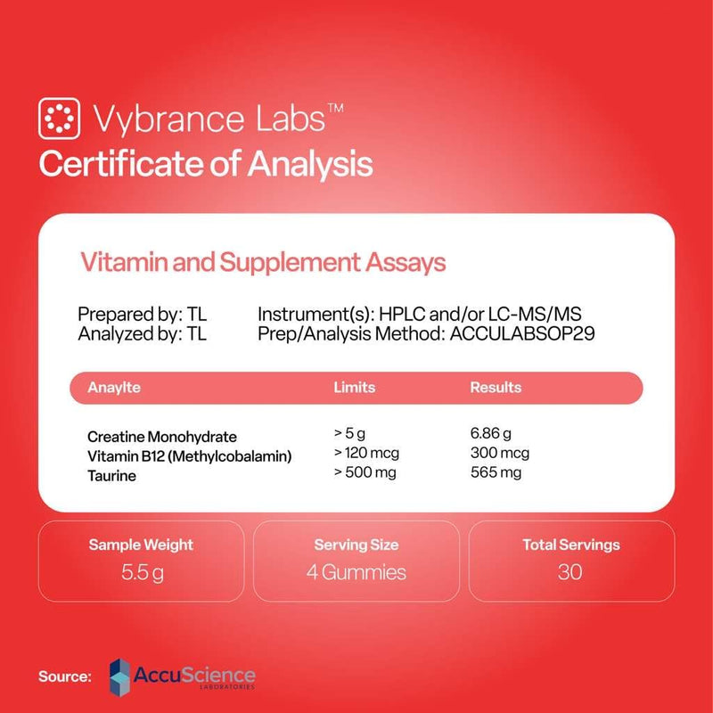 VYBRANCE LABS Creatine Monohydrate Gummies for Women | 5g per Serving, Sugar-Free | Taurine + Vitamin B12 | Strength, Energy & Focus Support | Vegan | Also for Men | Watermelon