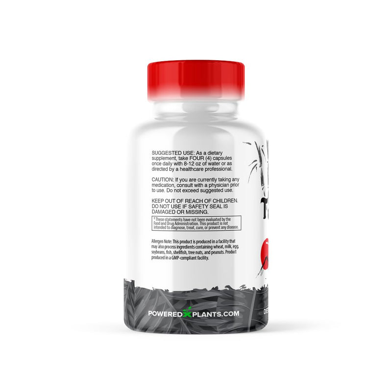 [Australia] - Takesumi Activated Charcoal - 2500mg Max Dose ‚Äì Supreme Pure Activated Charcoal from Bamboo for Max Absorption, Detox & Gut Nutrition, Japanese Takesumi Activated Charcoal - 120 Vegetarian Capsules 