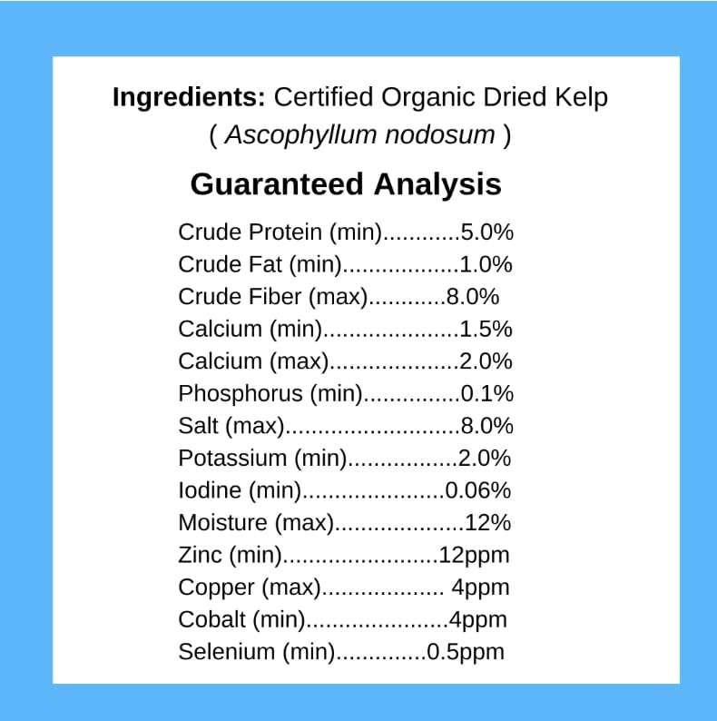 Kelp Powder, Dried Sea Kelp Supplement for Optimal Pet Health, Multifunctional Dog Vitamins Rich with Iodine & Omegas for Thyroid Health, Dental, Immune, Digestive, & Heart Health, 453g 16 OZ - PawsPlanet Australia