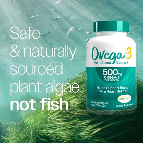 [Australia] - OVEGA-3 Plant-Based Omega-3 from Algal Oil Daily Supplement, 500mg, Supports Brain, Eye & Heart Health, Two mini softgels per Day, 60 Count 60 Count (Pack of 1) 