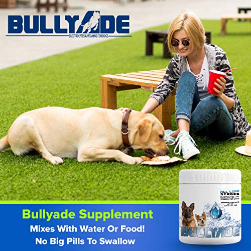 Natural Dog Supplement with 18 Vitamins & Minerals. Mixes with Water or Food. (Beef) Beef - PawsPlanet Australia