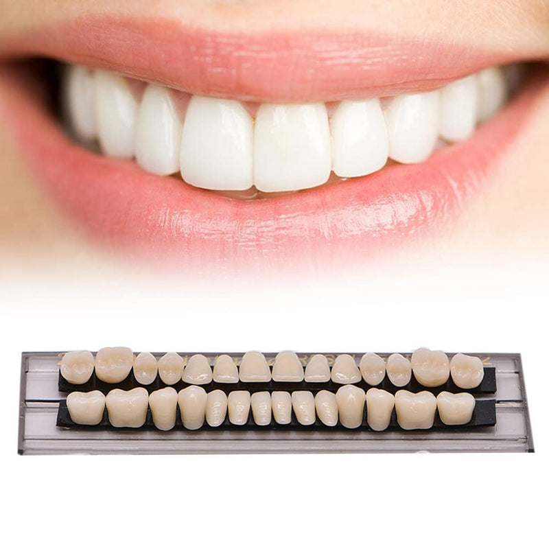 [Australia] - 84 PCS Acrylic Resin Teeth Dental Denture Dental Synthetic Resin Teeth Denture Halloween Horror Prop 23 A2 ((28 Pcs/3 Set)) (28 Pcs/3 Set) 