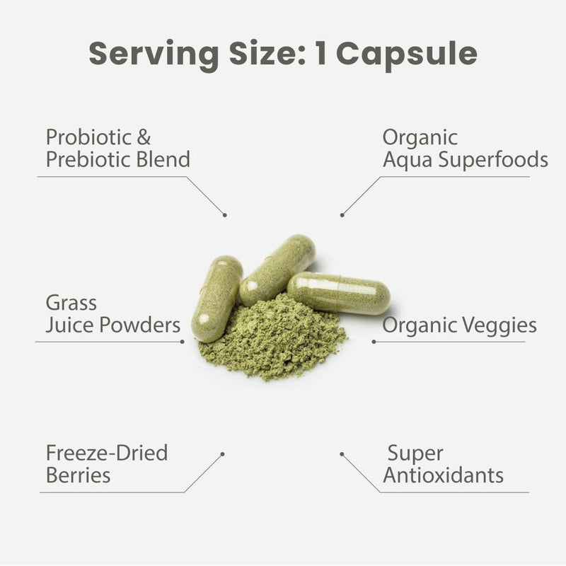 Paradise Herbs Earth's Blend Multivitamin with Iron, 120 Capsules | Once daily dietary supplement with 48 organic superfoods, probiotics, antioxidants, and vitamins A, B12, C, D, K2 120 Count (Pack of 1)