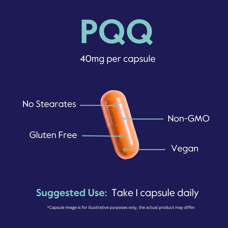 BESTVITE PQQ 40mg (Pyrroloquinoline Quinone) (60 Veg Caps) - Extra Strength | No Stearates - Vegan - Non GMO - Gluten Free - Cellular Energy & Brain Support* - Easy to Swallow Capsules 1 Count (Pack of 60)