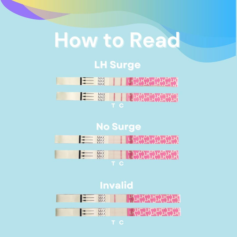 Rapid Detect LH Ovulation Test Strips (25 Count), Easy to Use, Quick Results for Your Fertility Window, Indvidually Wrapped & Reliable