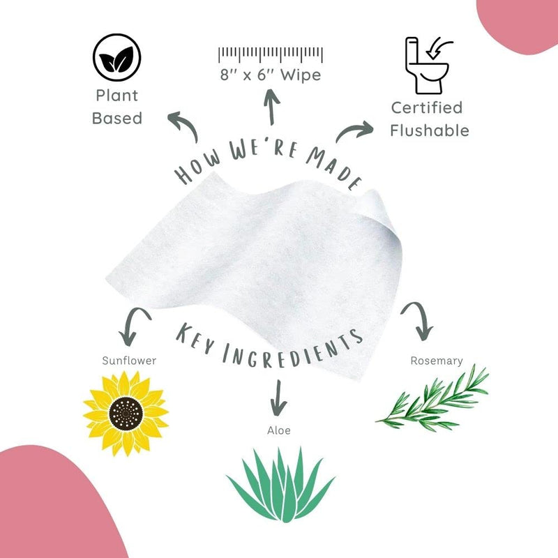 [Australia] - Stall Mates Wipes Feminine Fresh - Flushable | Individually Wrapped Cleansing Travel Friendly PH balanced Unscented with Sunflower, Rosemary and Aloe (30 on-the-go singles) 