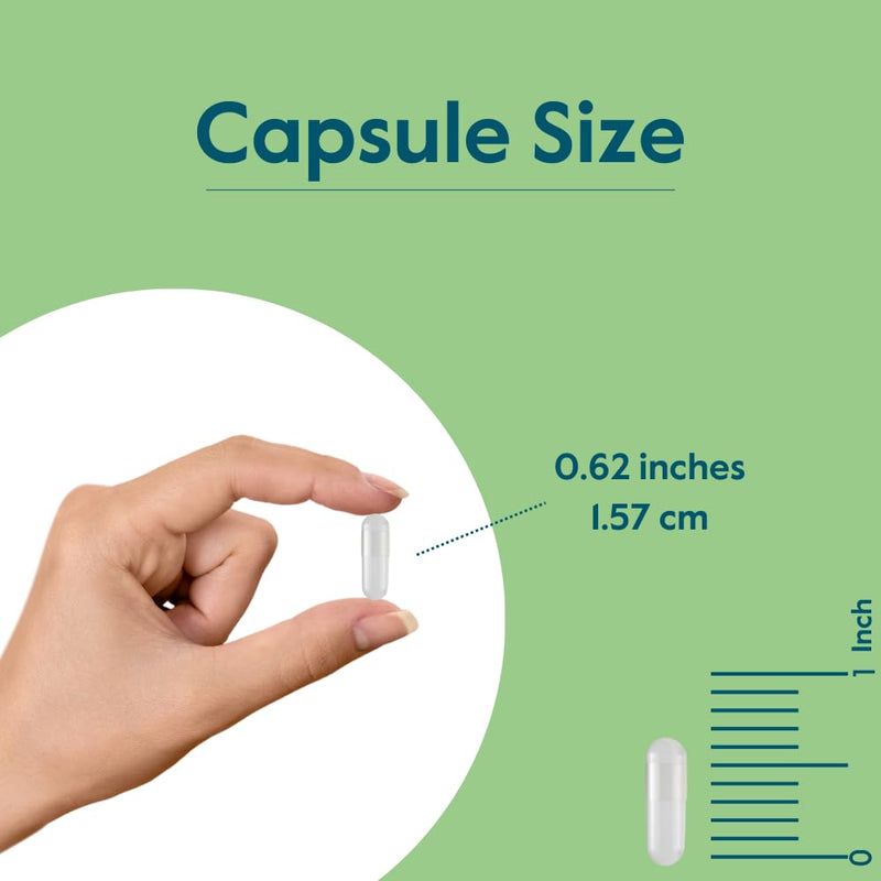 BESTVITE Vitamin K2 100mcg as MK-7 (240 Veg Caps)(120x2) | w/ Patented K2Vital - No Stearates - Vegan - Non GMO - Gluten Free - Easy to Swallow Capsules 120 Count (Pack of 2)