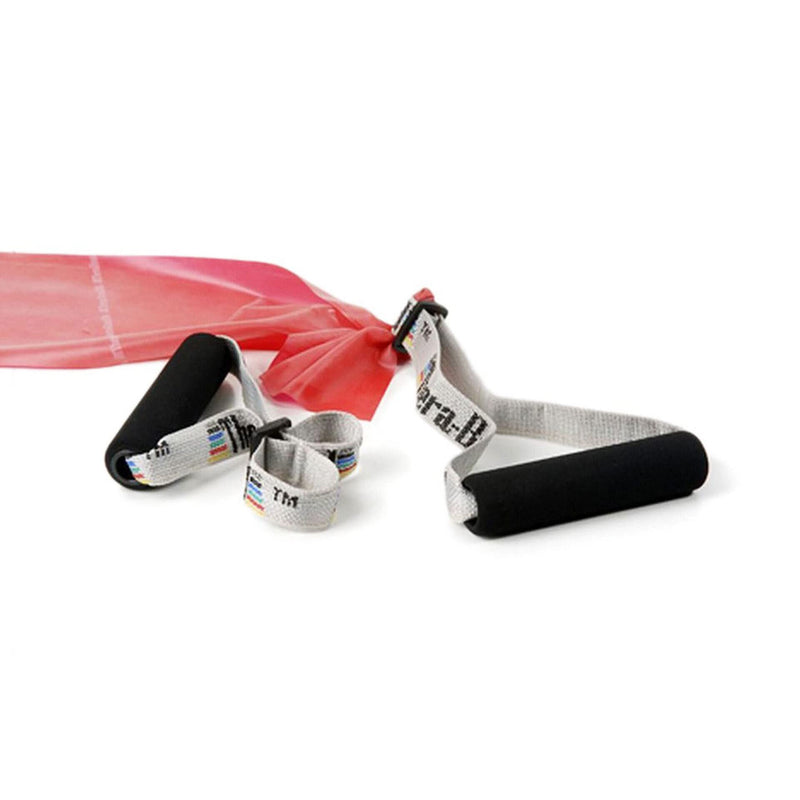 [Australia] - THERABAND Elastic Resistance Bands and Tubing Overdoor Accessories Kit, with Assist Strap, Soft Grip Handles, and Door Anchor for Overhead Shoulder Rehab, At-Home Physical Therapy, Upper Body Exercise Accessory Kit – Door Anchor, Handles, Assist Strap 
