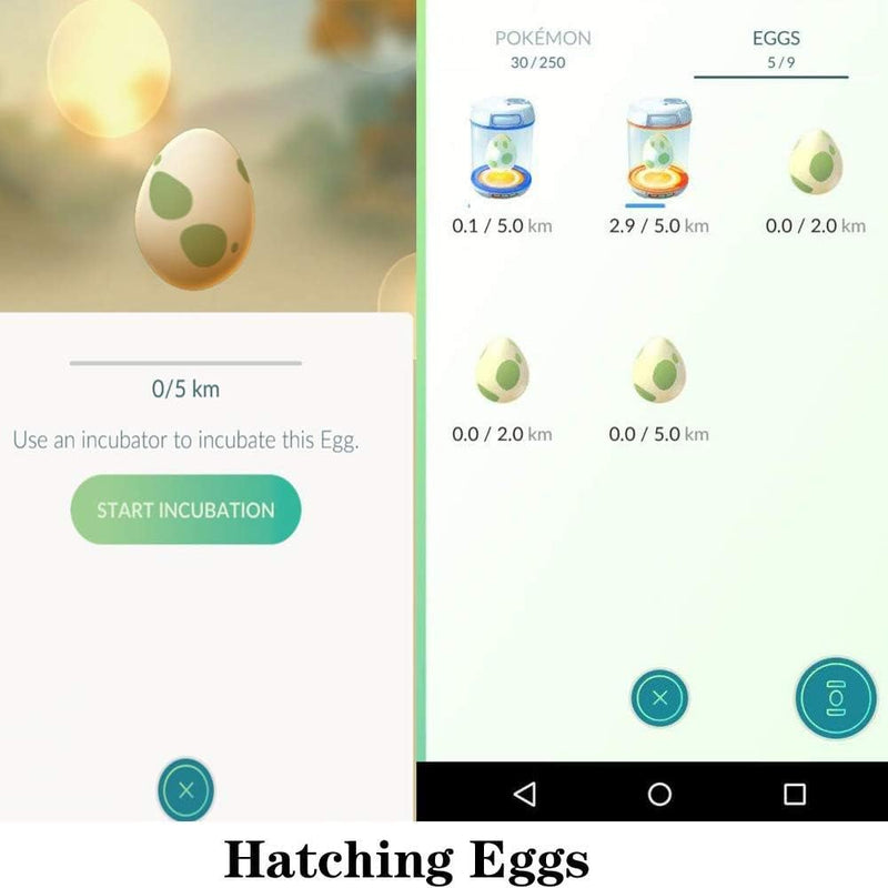 [Australia] - [2 Sets] Steps Counter Compatible for Po-ke-mon Go Walker Phone Swing Accessories [Mute Version] Egg hatcher Rocker Quick Steps Earning Device[Support 4 Phones Black] 