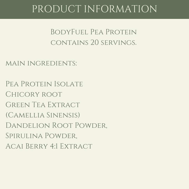 BodyFuel Hypoallergenic Pea Protein Isolate Powder – Non-Bloating Plant Protein with Phytonutrients, Green Tea, Chicory, Dandelion & Acai – Vegan, 500g