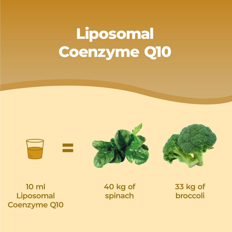 Bandini® Liposomal Coenzyme Q10 Liquid 200mg | Super Strength, Vegan Friendly, Naturally Fermented - High Absorption CoQ10 CAVAQ10® | Antioxidant Ubiquinone Co Enzyme, Alternative to softgel Capsules
