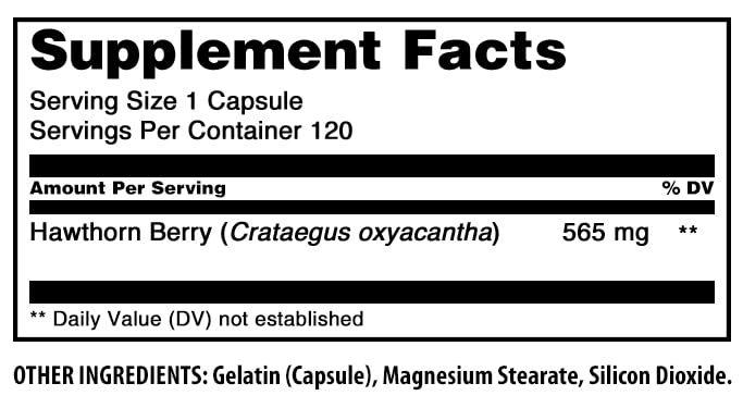 [Australia] - Amazing Formulas Hawthorn Berries Supplement | 565 Mg Per Serving | 120 Capsules | Non-GMO | Gluten Free | Made in USA 1 Count (Pack of 1) 