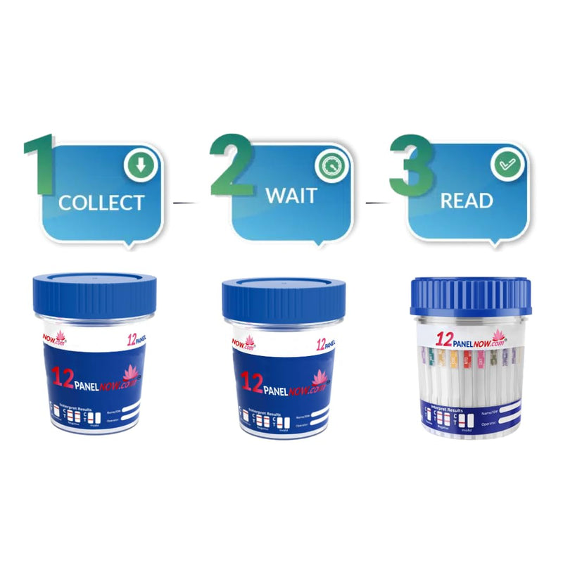 [Australia] - 12 Panel Drug Test Urine Cups | Urine Drug Test Kit with AMP, BAR, BUP, BZO, COC, MDMA, MET, MTD, OPI, OXY, TCA, THC | Rapid Results in Minutes | Easy to Use with Temp Strips [10 Pack] - 12 Panel Now 