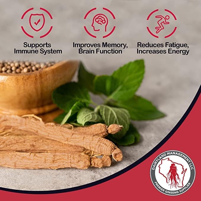 [Australia] - Red Panax Ginseng Powder with Natural Ginsenosides (4 oz)- Supports Healthy Energy, Vitality, Mood and More, Korean Panax Ginseng Root Powder for Smoothies, Coffee or Drinks (1 Pack) 4 Ounce (Pack of 1) 