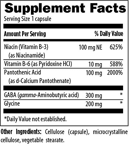 Designs for Health StressArrest - 300mg GABA with Glycine, Pantothenic Acid + Niacinamide (Vitamin B3) to Promote a Calm Stress Response - Non-GMO Gluten Free Supplement (90 Capsules)