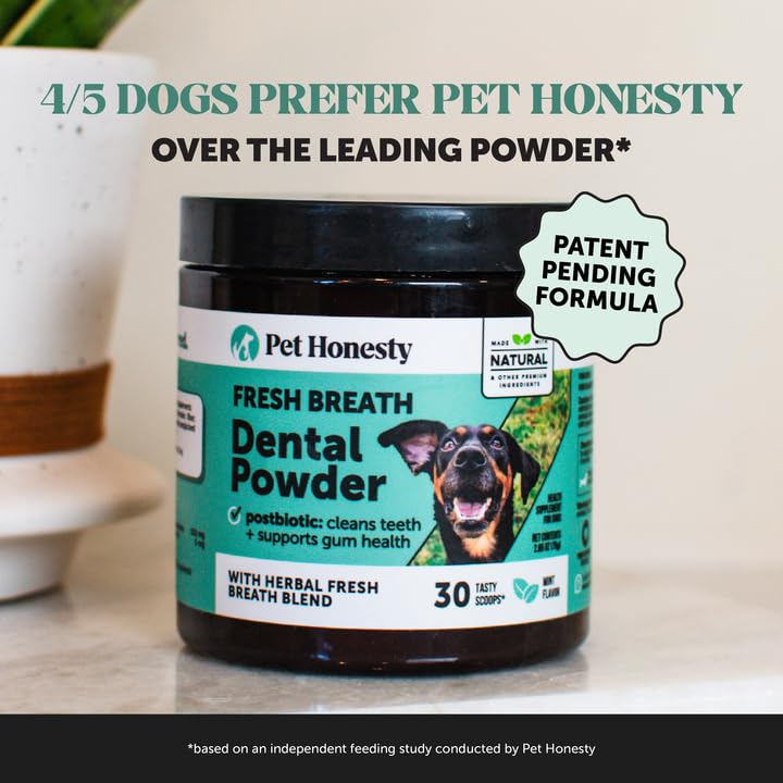 Pet Honesty Dog Breath Freshener Dental Powder for Teeth Cleaning Plaque Off, Dental Care for Dogs, Tartar Remover for Teeth with Natural Herbal Blend + Postbiotics (Mint - 30 Servings) Mint 6.7 Ounce (Pack of 1) - PawsPlanet Australia