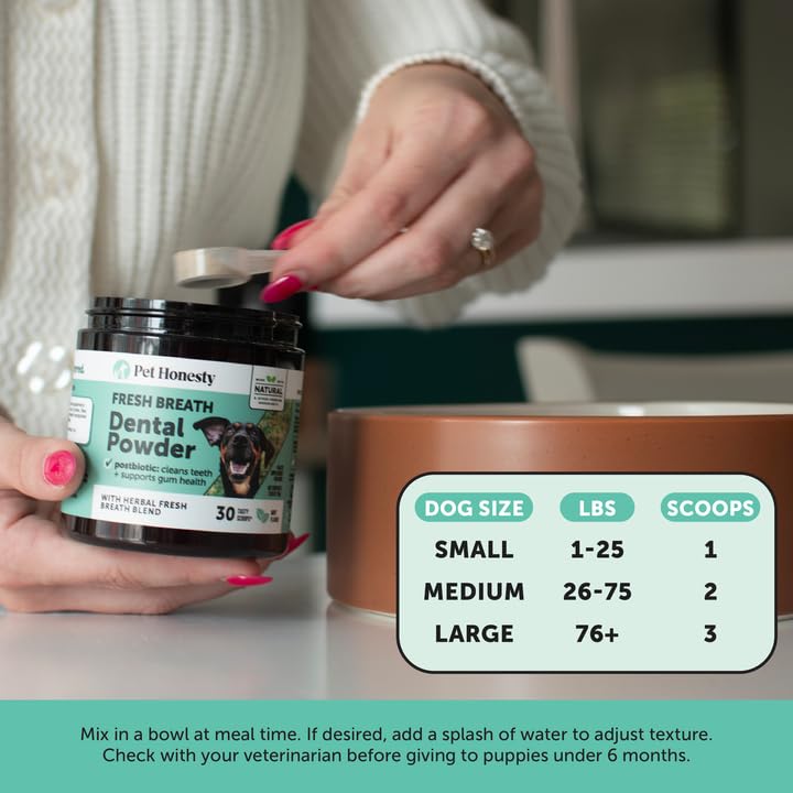 Pet Honesty Dog Breath Freshener Dental Powder for Teeth Cleaning Plaque Off, Dental Care for Dogs, Tartar Remover for Teeth with Natural Herbal Blend + Postbiotics (Mint - 30 Servings) Mint 6.7 Ounce (Pack of 1) - PawsPlanet Australia