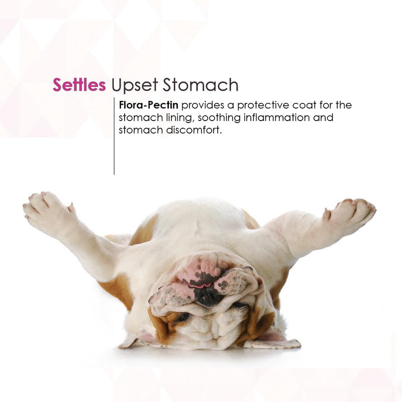 Oral Paste for Dogs & Cats-Helps Reduce Occasional Loose Stool & Diarrhea, Balance Gut pH, Support Normal Digestion & Intestinal Flora-Fast Acting (15 CC - Tasty Chicken Flavor) 15 CC - Tasty chicken flavor - PawsPlanet Australia