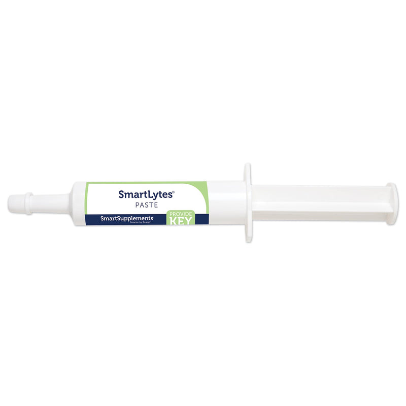 SmartPak SmartLytes Paste Horse Electrolyte Paste | Encourages Hydration, Replenishes Electrolytes, No Added Sugar, Apple Banana Flavor, Pack of 6 Tubes - PawsPlanet Australia