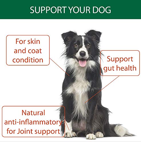 Natural Turmeric Powder for Dogs with Powdered Coconut Oil - Turmericle Anti-Inflamatory Dog Supplement for Healthy Hip & Joint Function - Normal Skin Health (1 Pack) 1 pack - PawsPlanet Australia