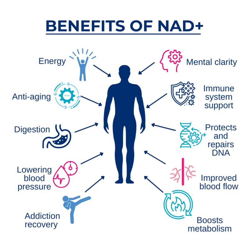 NADH 50mg (60 Tablets), Cellular Energy Production, Anti-Aging & Cellular Health, Cognitive Function & Memory, Fatigue & Boosts Vitality, Nervous System Function