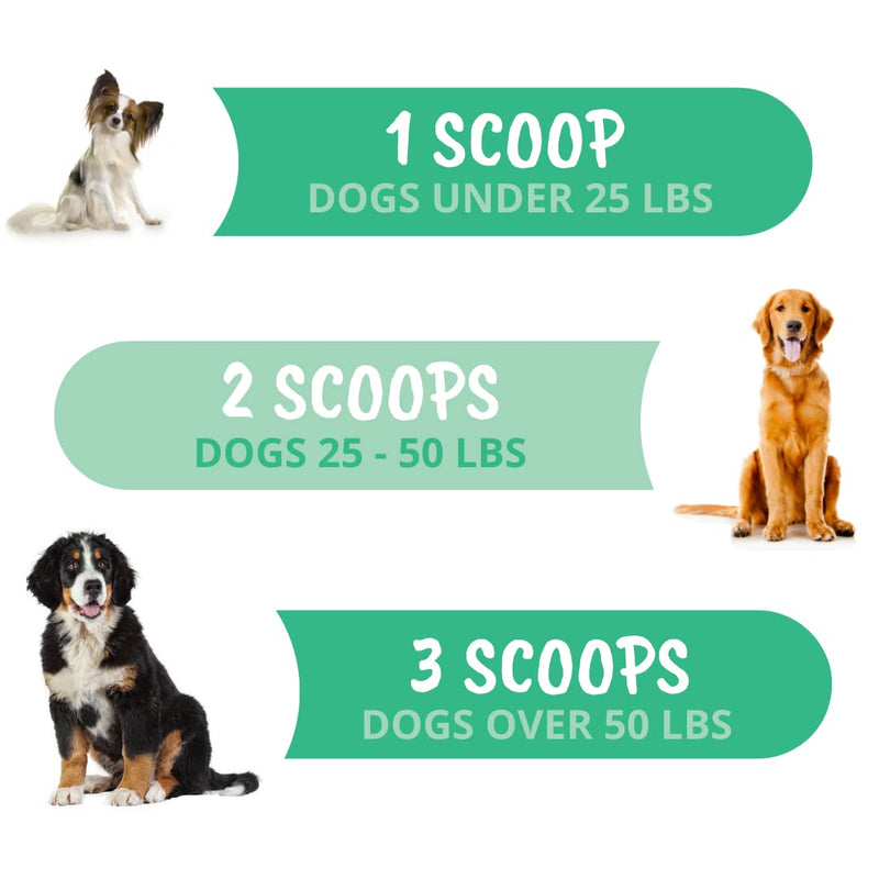 Under The Weather Allergy & Itch Relief Powder for Dogs | Dog Allergy and Itch Aid | Immune Booster and Skin & Coat Supplement for Dogs | Aids Seasonal Allergies, Skin Hot Spots & Anti-Itch - PawsPlanet Australia