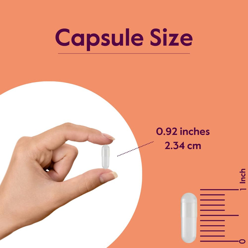 [Australia] - BESTVITE L-Lysine 500mg per Capsule (240 Vegetarian Capsules) - No Stearates - No Fillers - No Flow Agents - Vegan - Non GMO - Gluten Free - No Stearic Acid - No Dicalcium Phosphate 