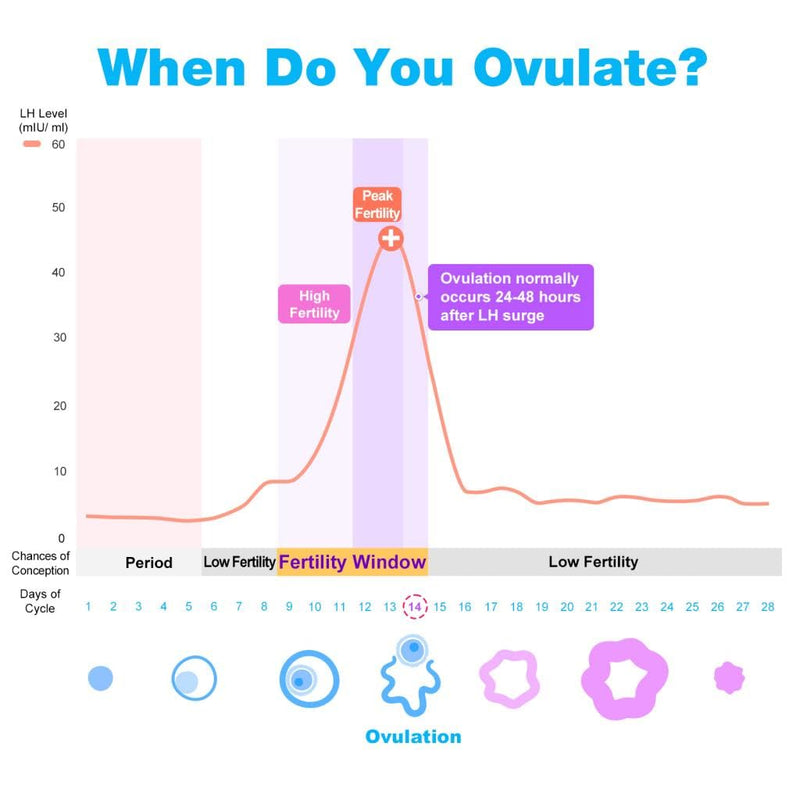 [Australia] - Easy@Home Ovulation & Pregnancy Test Strips Kit: 40 Ovulation Strips and 10 Pregnancy Tests– Accurate Fertility Tracker OPK - Powered by Premom APP | 40LH + 10HCG + 50 Urine Cups 50 Count (Pack of 1) 