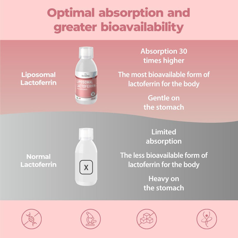 Bandini® Liposomal Lactoferrin Liquid | High Strenght, High Bioavailability & Absorption | for Iron Absorption & Immune Function | A Component in Colostrum | No Additives, Laboratory Tested | 250ml