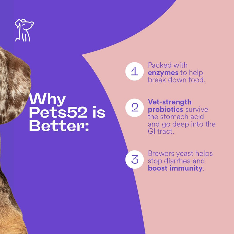Pets 52 - Digestive Dog Probiotics with Enzymes - Supports Healthy Gut Flora, Boosts Immune System, Promotes Stomach Comfort, Vet-Strength Formula for Improved Digestion - 30-Day Results - PawsPlanet Australia