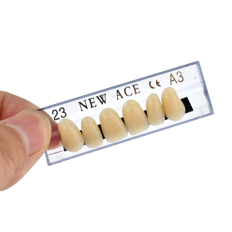 [Australia] - 168 Pcs Dental Synthetic Resin Tooth Denture 3 Sets False Teeth 23 A3 Upper Lower Shade Dental for Halloween Horror Teeth 