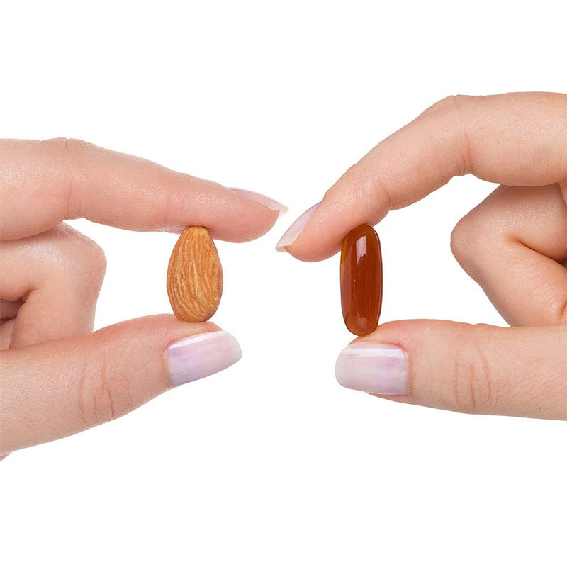 [Australia] - Seeking Health Optimal PC - Support Brain & Liver Health with Choline - Energy Support Supplement with Sunflower Lecithin - 800 mcg, 100 Softgels 