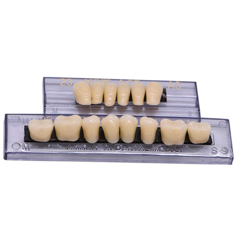 [Australia] - RZJZGZ 168 Pcs Dental Synthetic Resin Tooth Denture Temporary False Teeth 6 Sets False Teeth 23 A2 