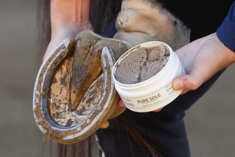 Thrush Treatment for Horses - Pure Sole Hoof Mud - Hoof Clay for Horses - A Horse Hoof Care Product for Thrush, White Line, and Hoof Wall Separation | Use Regularly for A Healthy Hoof. - 8 oz. - PawsPlanet Australia