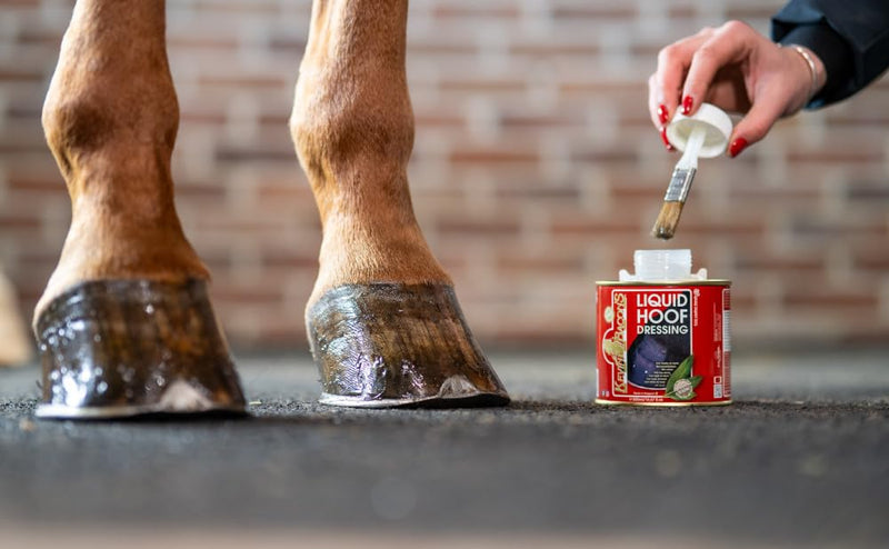 Kevin Bacon Liquid Dressing Hoof Oil 500ml Clear - PawsPlanet Australia