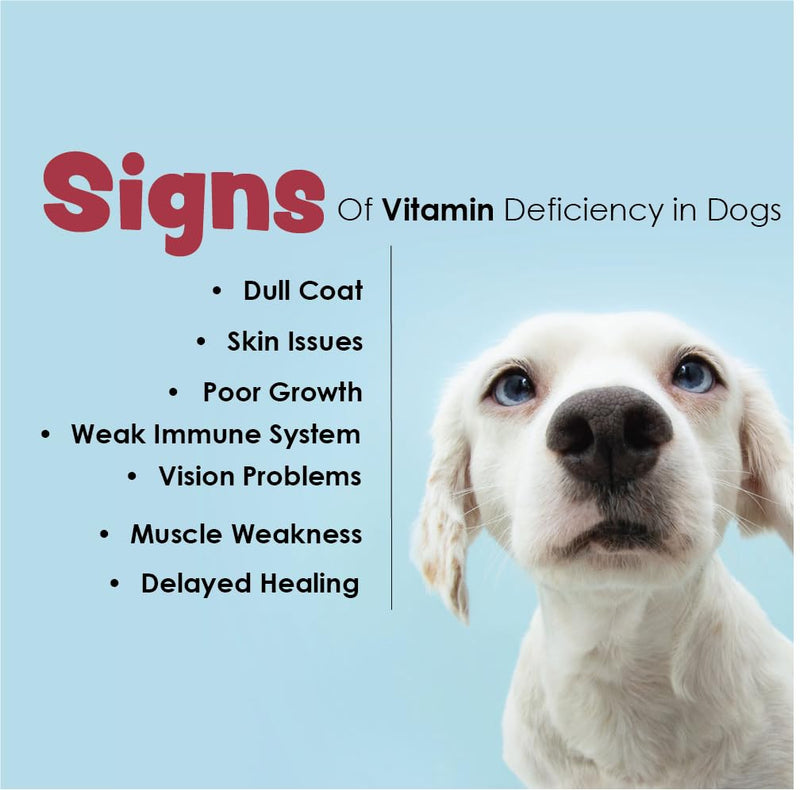 Vita-Tabs - Essential Vitamins, Minerals, Nutrients - Health Supplement for Dogs - Support Immune System, Bones - Liver Flavored - 60 Chewable Tablets - PawsPlanet Australia