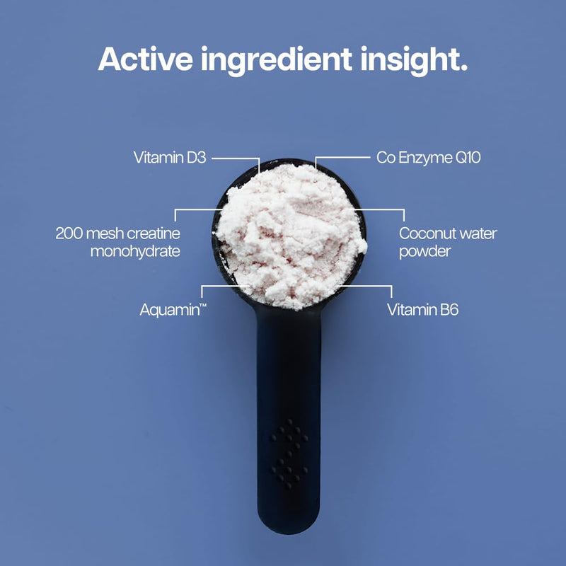 Protein Works | Creatine 360 - Gold Innovation, Creatine Monohydrate, CoQ10, Aquamin, Vitamin D3 & B6, Magnesium, Improves Focus, Mental Clarity, Cellular Support, Berry Burst, 60 Servings, 300g 60 Shakes (300g)