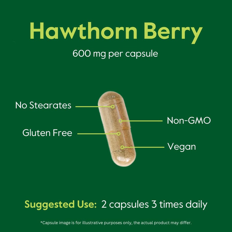 [Australia] - BESTVITE Hawthorn Berry 600mg per Capsule (240 Vegetarian Capsules) - No Stearates - No Fillers - Vegan - Non GMO - Gluten Free 