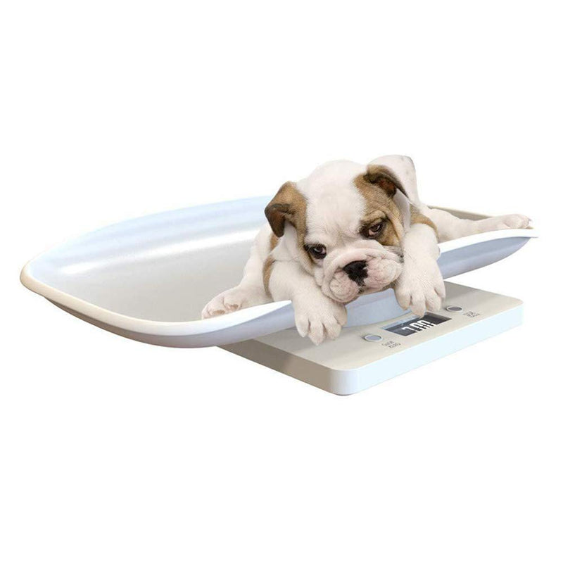 [Australia] - Digital Pet Scale Multi-Function Food Weight Scale, Smart Small Baby Pet Dog Cat Scale 22 Pound (lbs) Capacity, Accurate Digital Scale for Baby Food Accurately/Puppy/Cat/Small Animals 