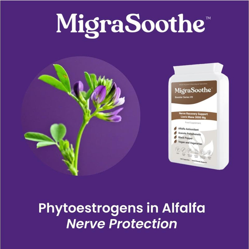 Migraine MigraSoothe Booster Series VII Lion's Mane 3000 Mg Migraine Nerve Recovery Repair Support UK Made and Allergen Free - 120 Capsules