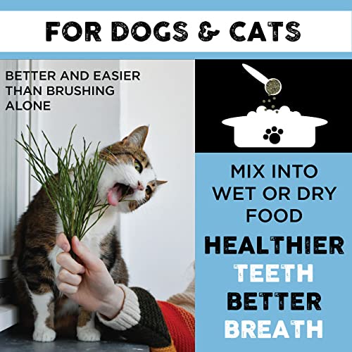 Nature's Diet Nature's Toothbrush Icelandic Seaweed Whole Flakes Oral Health Breath and Build-up Control Daily Meal Topper for Dogs & Cats - PawsPlanet Australia