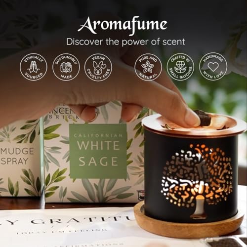 White Sage Smokeless Incense Bricks & Tree of Life Burner, Aromafume
