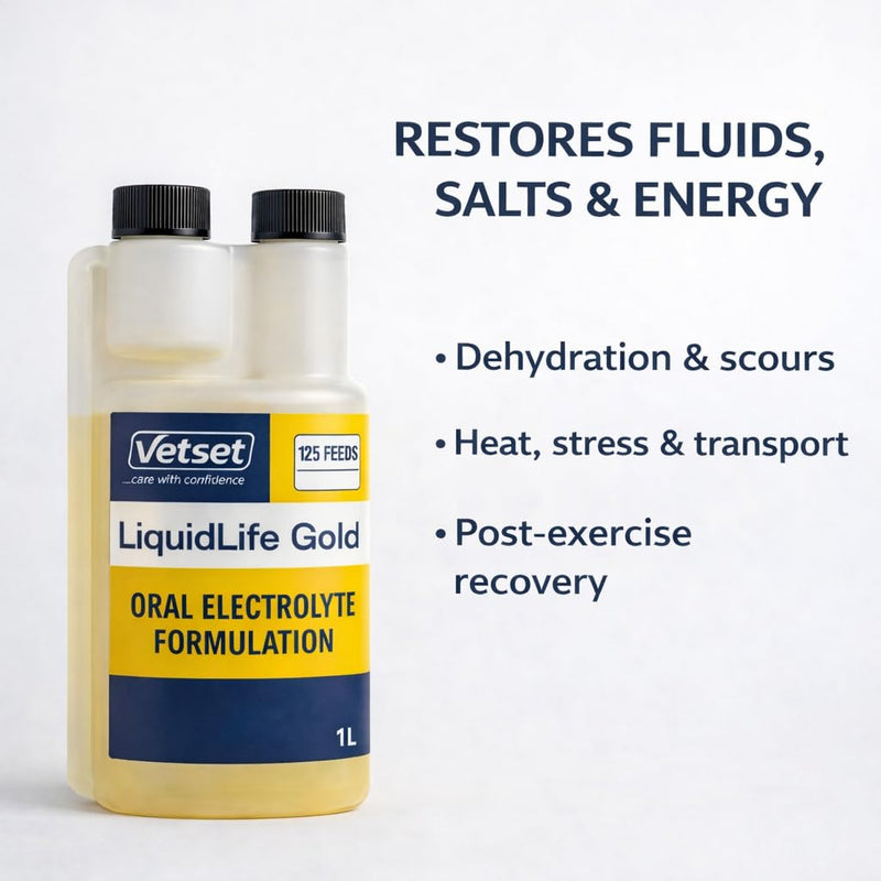 LiquidLife Gold |Foal & Calves Electrolyte Solution |Oral Rehydration & Energy Supplement for Calves, Lambs & Pigs |Restores Fluids, Salts & Vitality After Dehydration, Scours or Stress 1 Litre