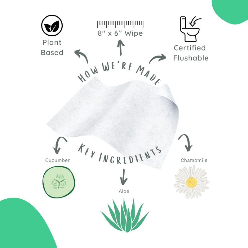 [Australia] - Stall Mates Wipes - Flushable Wipes | Individually Wrapped | Travel Friendly | Unscented with Vitamin-E & Aloe | (30 on-the-go singles) 30 Count (Pack of 1) 