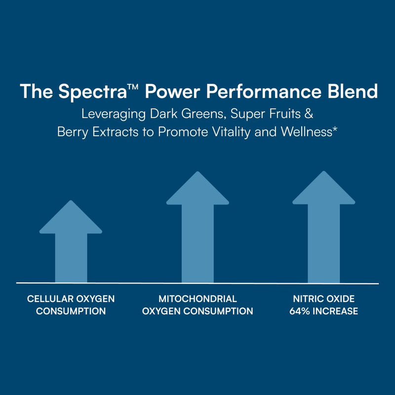 Purity Products Men's Perfect Multi - Vitamins, Minerals & Phytonutrients | Multivitamin Blend - Supports Energy, Vitality and Stamina - Easy to Swallow - 90 Tablets