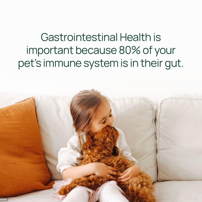 pawTree Gastro Pro Plus for Dogs and Cats - Probiotics, Prebiotics and Digestive Enzymes - for Sensitive Stomach, Digestive Issues, Loose Stool, and Bad Gas (60 ct) 60 ct - PawsPlanet Australia