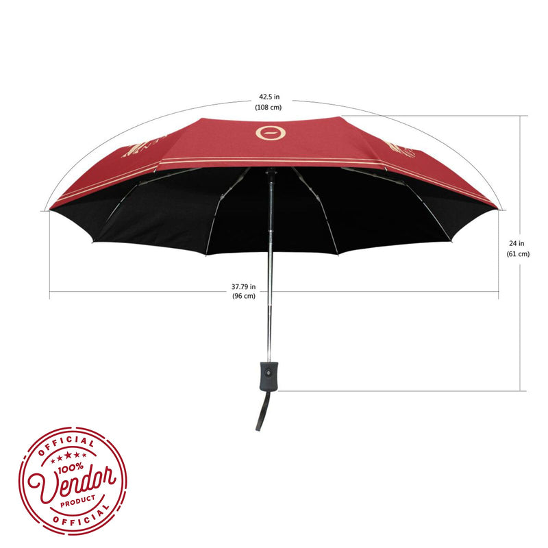 Delta Sigma Theta Sorority Paraphernalia - Official Vendor - Umbrella Collection greek-letters-1913