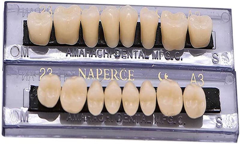 [Australia] - RZJZGZ Synthetic Resin Tooth Denture False Teeth for Halloween Horror Teeth 23 A3(56 Pcs/2Set) 