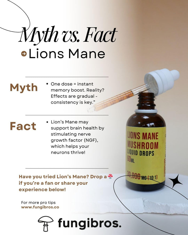 Lions Mane Liquid Drops 30,000mg | 10:1 Fruiting Body Extract | Focus, Clarity & Brain Fog Support | Fast Absorption | 60ml 2 Month Supply | UK Made