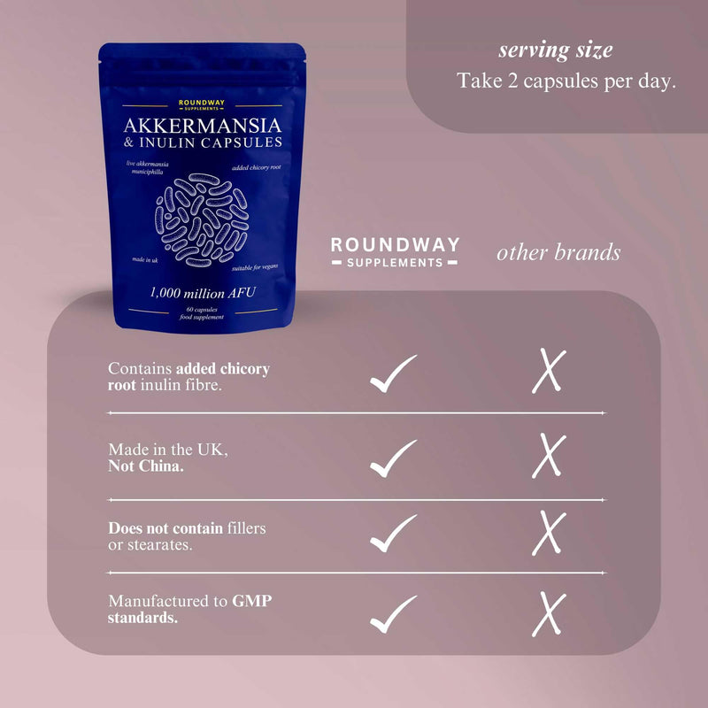 Akkermansia Muciniphila Supplement with Chicory Root Inulin | Probiotics for Gut Health | Delayed Release | High Strength 1,000 Million AFU | Postbiotics & Colon Cleanse Support | 60 Capsules
